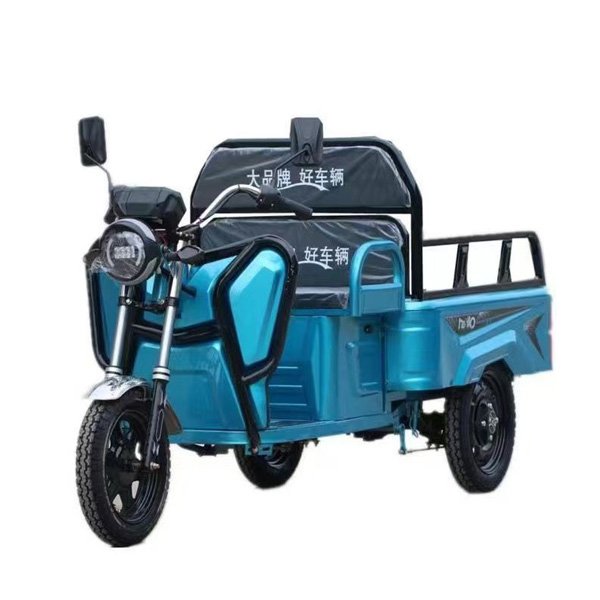 Hot Selling 60v 32ah Carbon Steel Classic Electric Bicycle 3 Wheel Electro-tricycle Can Pull Goods and Carry People